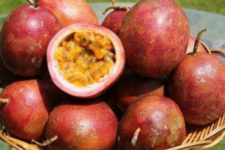 恋上你的床 她总是使出一些让我无法拒绝的套路制服我