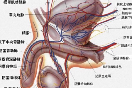 上火牙龈肿痛怎么办?多吃这4种食物