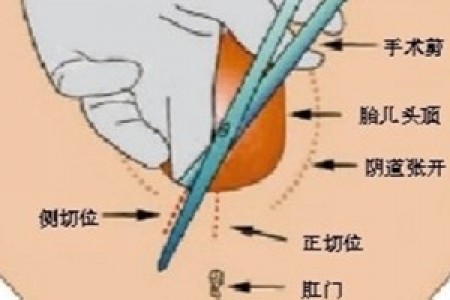 孜然龙虾的做法