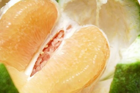 无花果的功效与作用及禁忌 吃错它能要人命